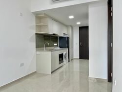The Gazania (D19), Condominium #551314451